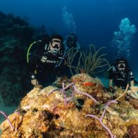 Scuba Diving