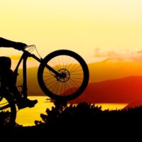 Private & Custom Tours
