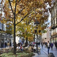 City Tours