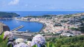 Wonderful cruise excursion on Faial