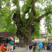 Eco Tours