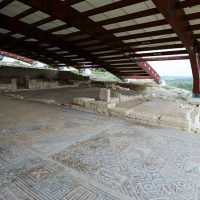 Walking Tours