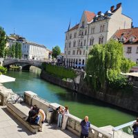 Bus & Minivan Tours