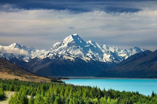 Valentine's Day in Christchurch