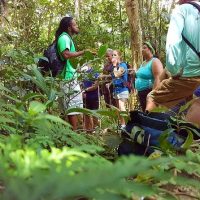 Walking & Biking Tours