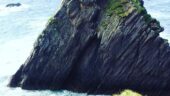 Amazing trip with Niall