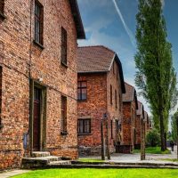 Holiday & Seasonal Tours
