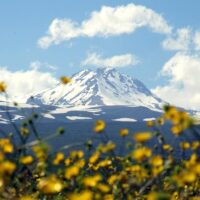 Tours & Sightseeing