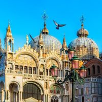 City Tours