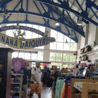 Half-day Tours