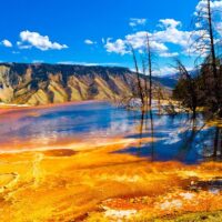 Holiday & Seasonal Tours