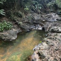 Hiking & Camping