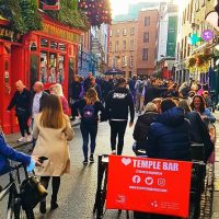 Private Sightseeing Tours