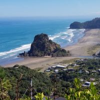 Wine Tasting & Winery Tours