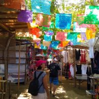 Cultural & Theme Tours
