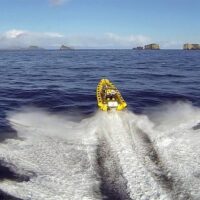 Boat Tours