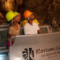 Eco Tours