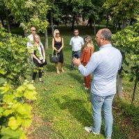 Sustainable Tours