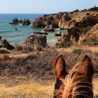 Horseback Riding