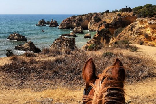 Valentine's Day in Portimao