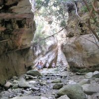 Walking & Biking Tours