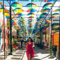 Cultural & Theme Tours
