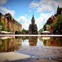 Bus & Minivan Tours