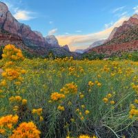 Multi-day & Extended Tours