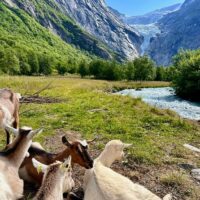Bus & Minivan Tours