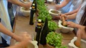 Pesto Making is a Must When in Cinque Teree!