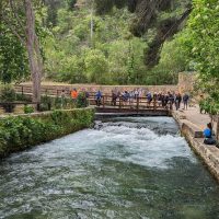 Shore Excursions