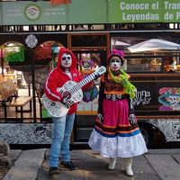 Holiday & Seasonal Tours