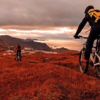 Bike Rentals