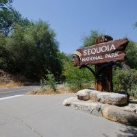 Multi-day Tours