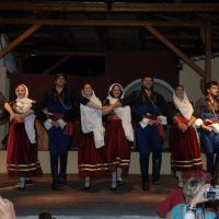 Family-friendly Shows