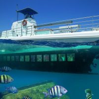 Submarine Tours