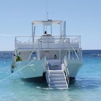 Day Cruises