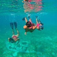 Snorkeling