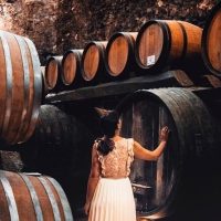 Private & Custom Tours