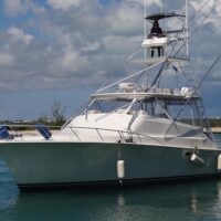 Fishing Charters & Tours