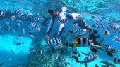 Great snorkeling experience!