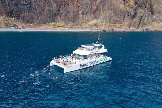 Valentine's Day in Funchal