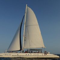 Catamaran Cruises