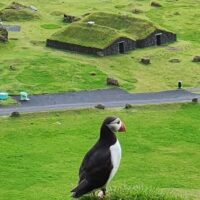 Vespa, Scooter & Moped Tours