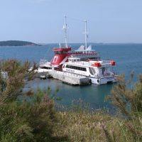 Cruises, Sailing & Water Tours