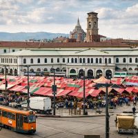 Coffee & Tea Tours