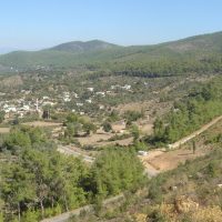 Half-day Tours