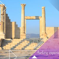 Full-day Tours