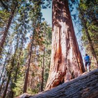 Hiking & Camping
