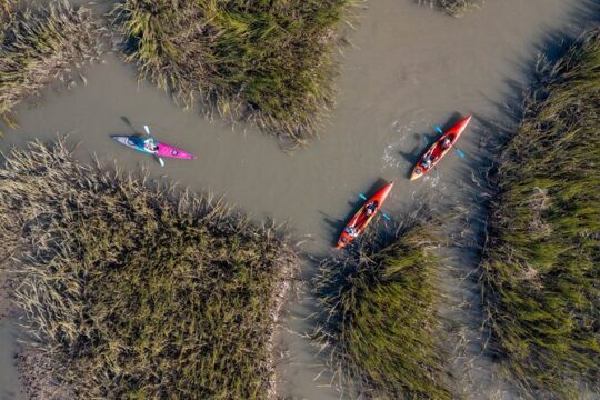Veteran's Day in Folly Beach